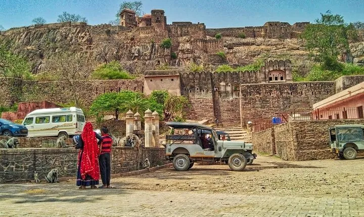 03 Days Private Ranthambore Wildlife Safari Tour From Delhi