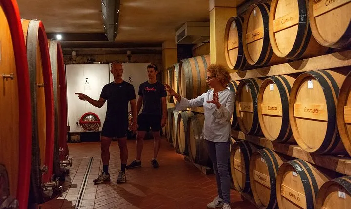 Tour of the cellar and tasting of 6 wines