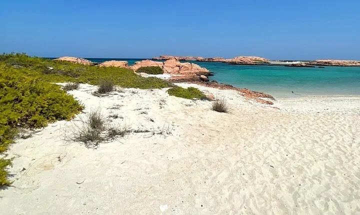 Full Day Camping in Daymaniat Island