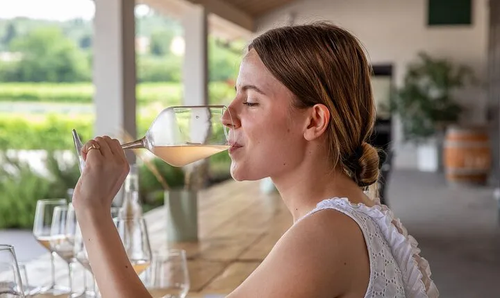 Bardolino Wine Experience