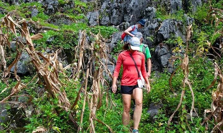 4-day Trekking in Ha Giang - Tay Con Linh