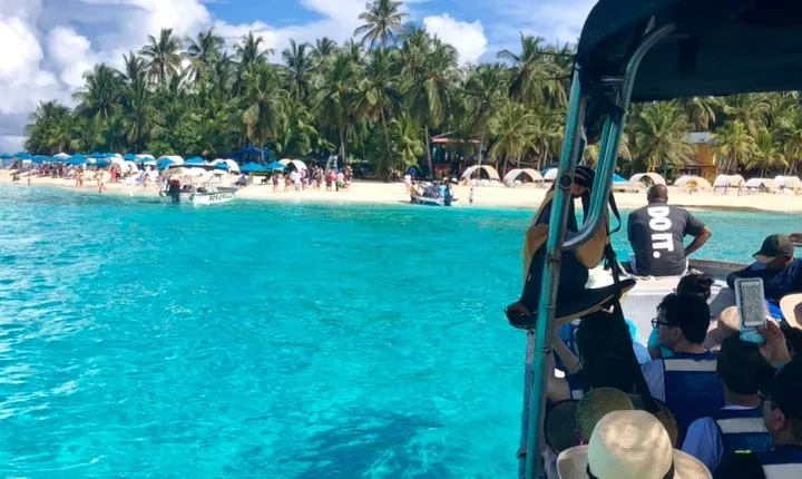 Excursion to Jhony Cay, Aquarium, Bay Tour and Mangroves.