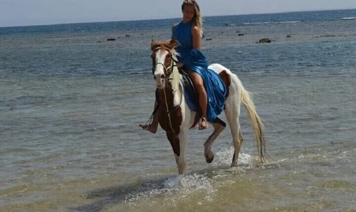 2-Hour Horseback Ride in Nabq & Hotel Transfers – Sharm El Sheikh