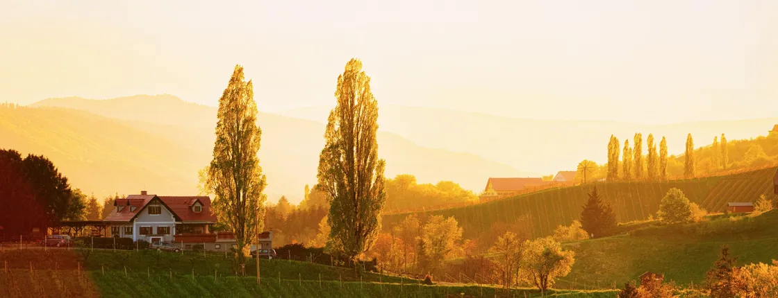 Day trip to Maribor, Ptuj and Stajerska wine region from Bled