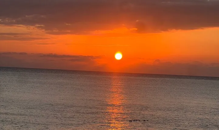 Negril 7 Mile Beach and Ricks Cafe Tour