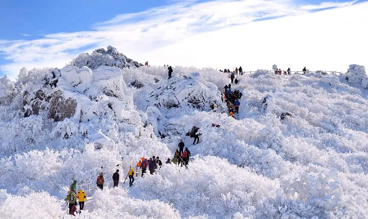 From Seoul Snow-Capped Beauty of Deogyusan National Park