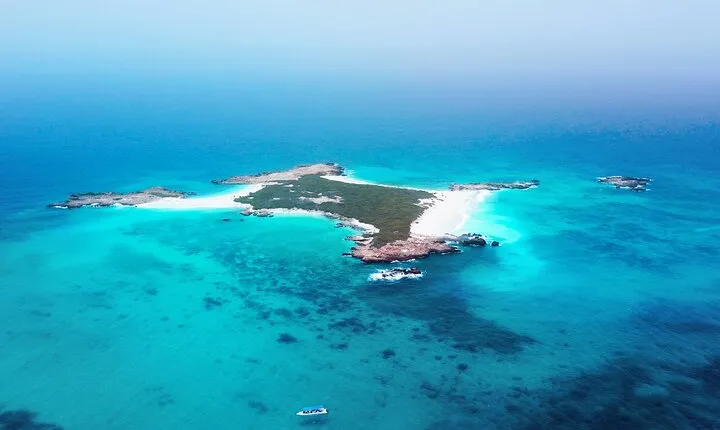 Daymaniyat Islands Oman Sharing Tour