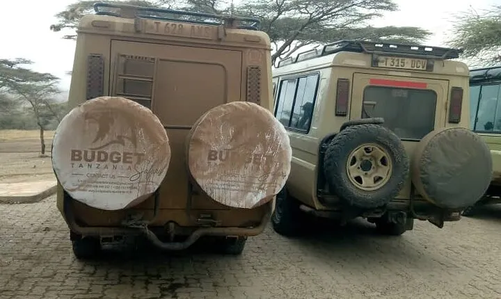 Full- Day Trip to Tarangire National Park From Arusha
