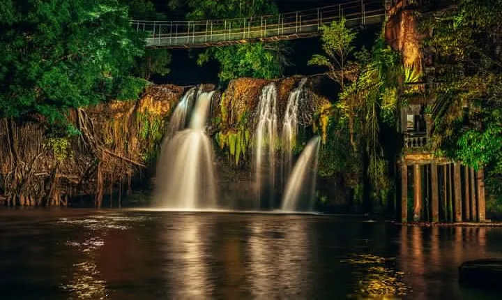 Afternoon & Evening Tour of Paronella Park