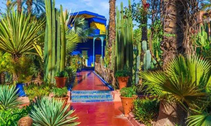 Marrakech: Private Guided Half-Day City Tour