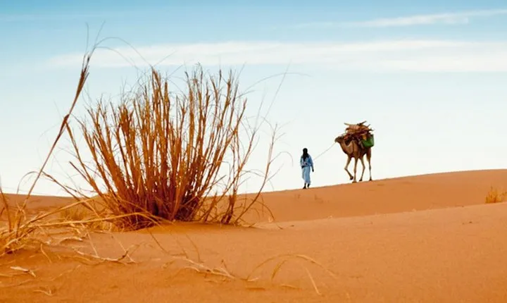 2 Day Zagora Tour from Marrakech Including the Atlas Mountains, Camel Trek and Desert Camp