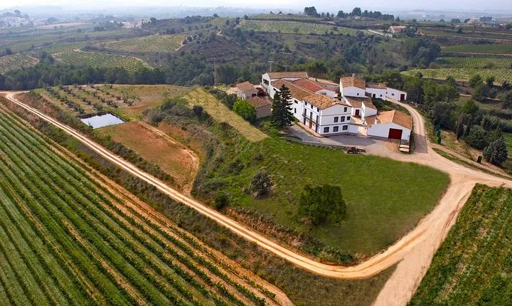 Viticulture and Wine-Tasting 3-Hour Trip from Barcelona