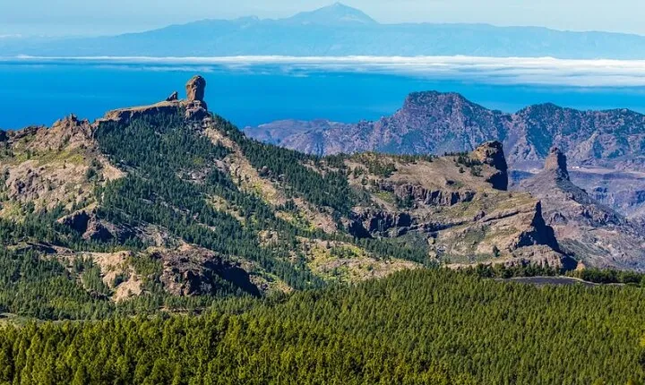 Guided tour: Discover Gran Canaria
