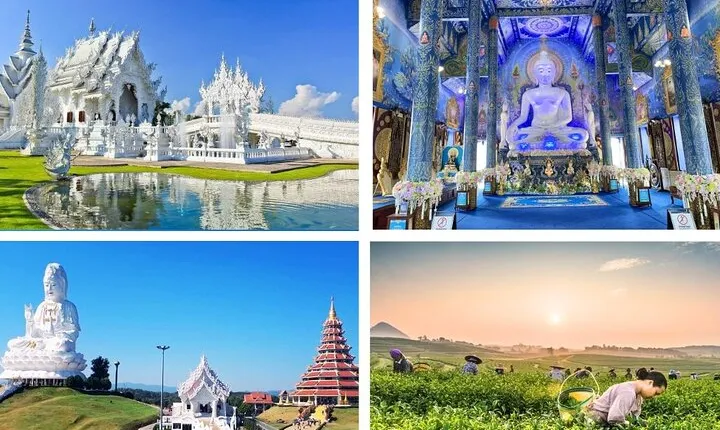 Best Places in Chiang Rai White, Blue, Big Buddha, Tea Plantation