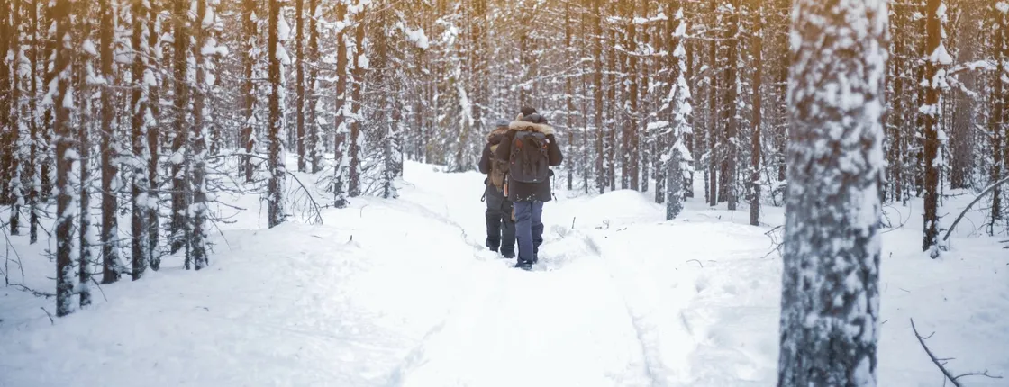 Vikakongas Guided Hiking Tour