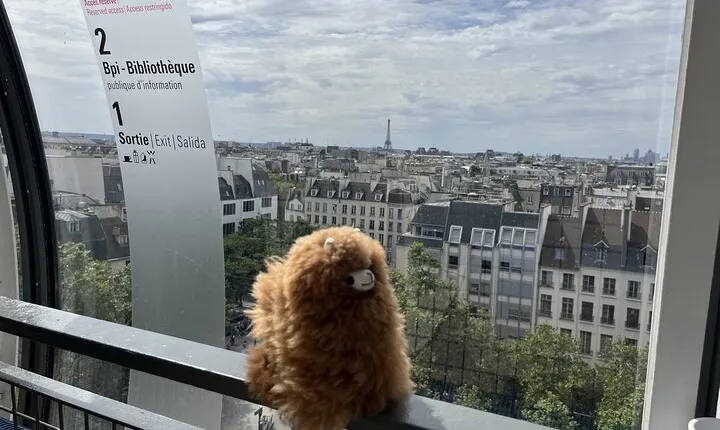 Centre Pompidou: Museum Ticket Entry& 3h Private Guided Tour