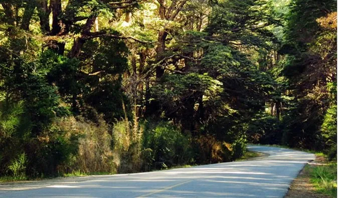 Circuito Chico & Boat Navigation to Victoria Island and Arrayanes Nat Park