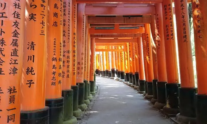 Kyoto Lazy Bird Walking Tour