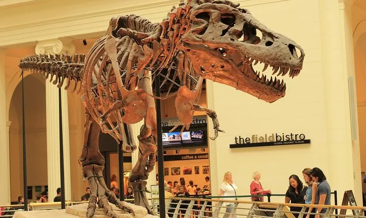 Chicago Field Museum Ticket and Audio Tour