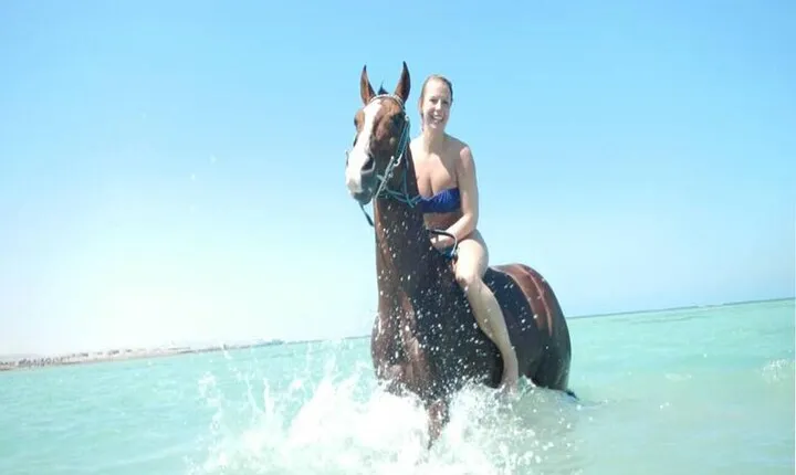 Horse Riding 3 Hours Beach, Desert, & Swimming By Horse -Hurghada