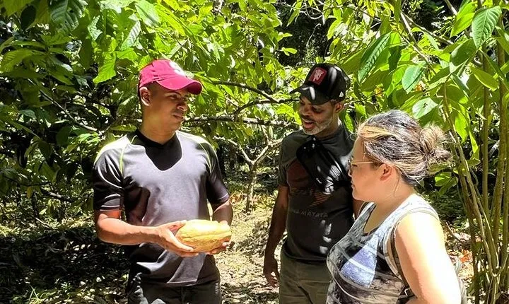Bribri Magic Chocolate and Waterfall Experience