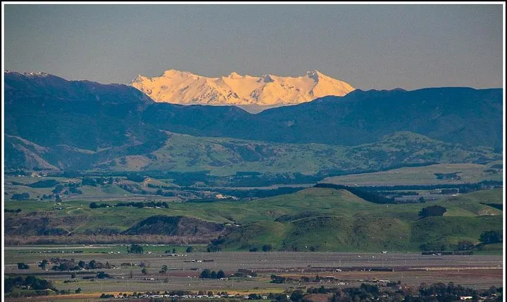 Shore Excursion: 4 Hour Premium Hawkes Bay and Napier Tour