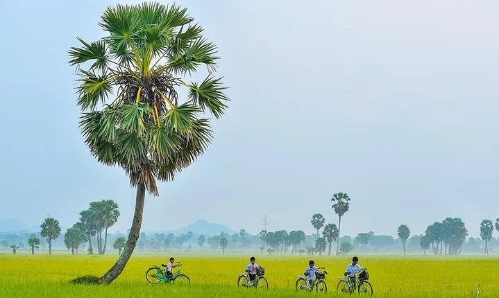 3-day experience Ho Chi Minh (Saigon) & Mekong Delta