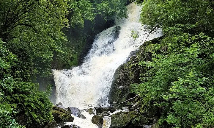 Torc mountain & waterfall hike. Killarney. Private guided group. 3½ hours.