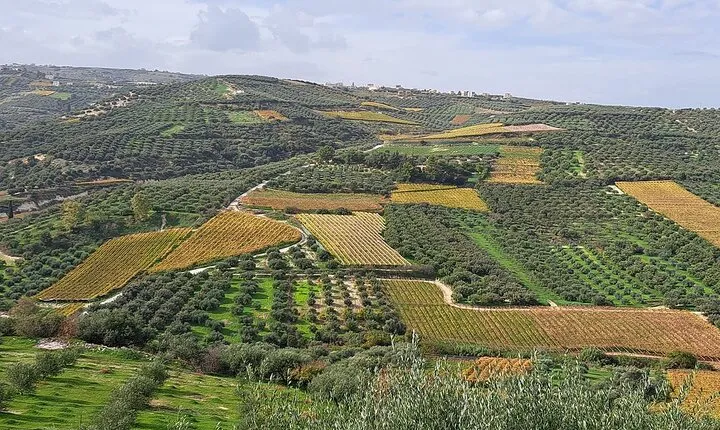 Wine Raki Olive Oil Tasting and Pottery - Small Group
