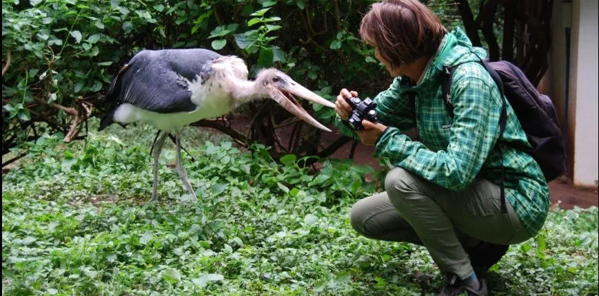 Makoa Farm Wildlife Rehabilitation Centre tour from Kilimanjaro