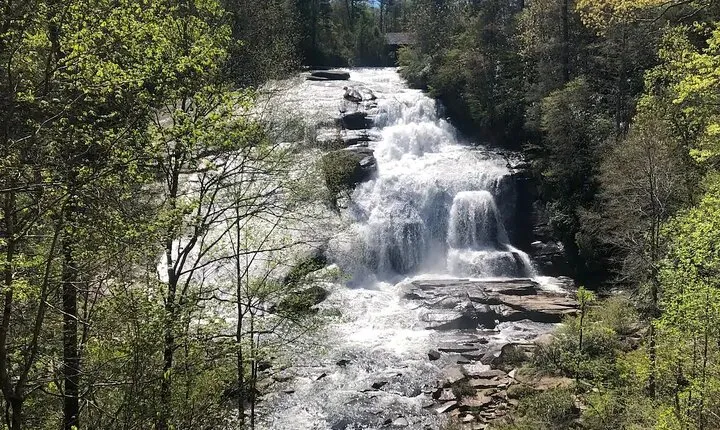 Coffee Hike to Three Waterfalls in DuPont State Forest
