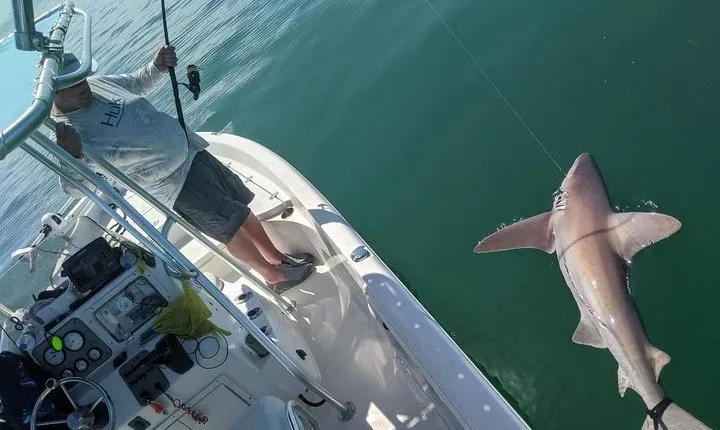 Fishing Charters - Fort Myers Beach / Naples