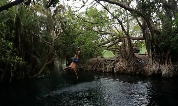 Amazing Chemka (Kikuletwa) Hot Spring Day Trip | BURIGI CHATO SAFARIS CO LTD