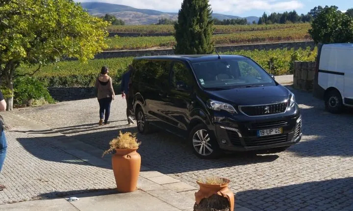 Private Guided Transfer in Sintra and Lisbon