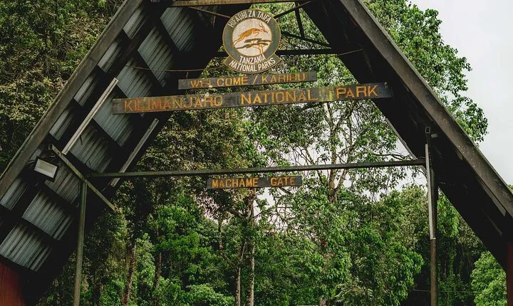 MT Kilimanjaro Day Trip VIA Machame Route