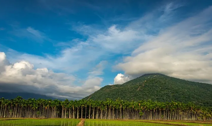  The best of Coimbatore walking tour