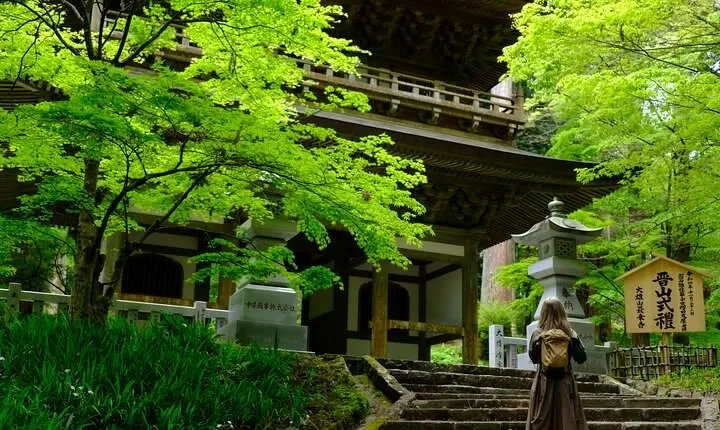 Forest Bathing in Temple and Enjoy onsen with healing power