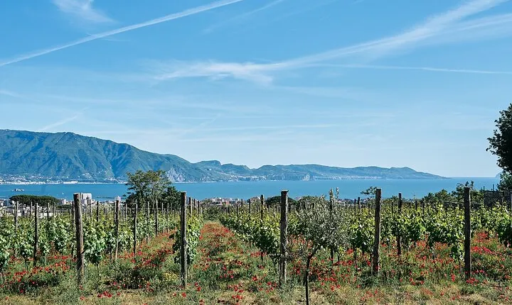 Pompeii and Vesuvius Private Tour with Wine tasting