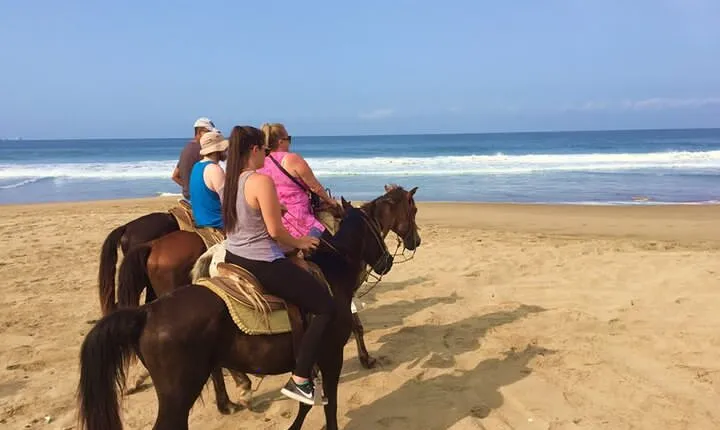 Horseback Riding Playa Larga