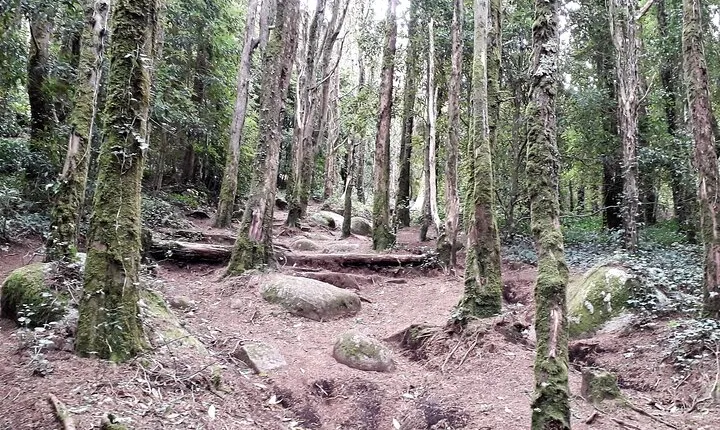 Private Hiking in Natural Park and Traditional Grilled Lunch 
