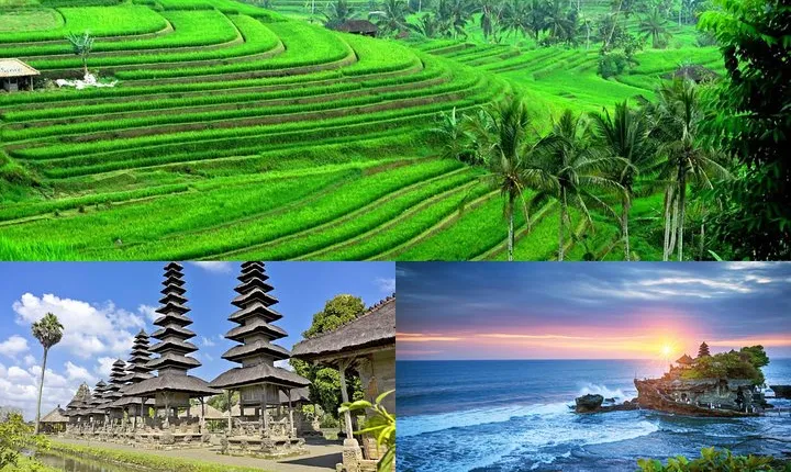 Jatiluwih Rice Terrace & Tanah Lot Tours
