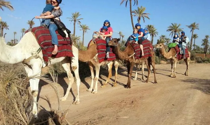 camel ride marrakech
