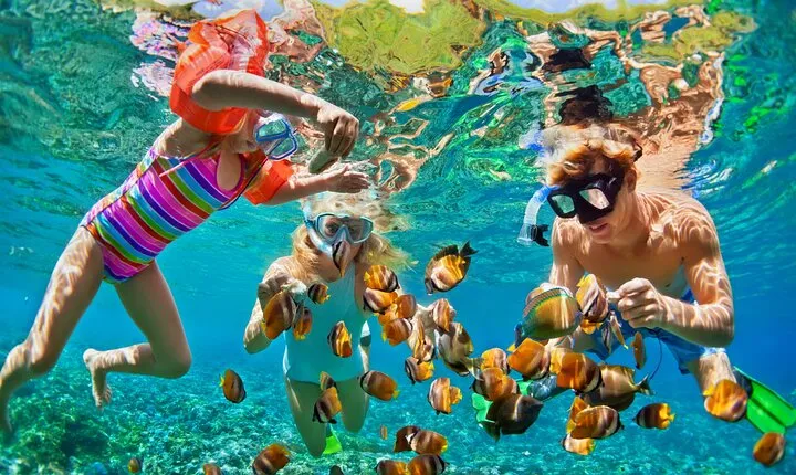 Nizuc Reef Snorkel Experience