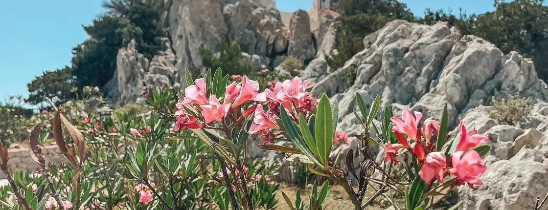 Agia Kyriaki walking tour from Karpathos