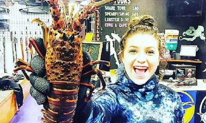 Lobster Diving Tour