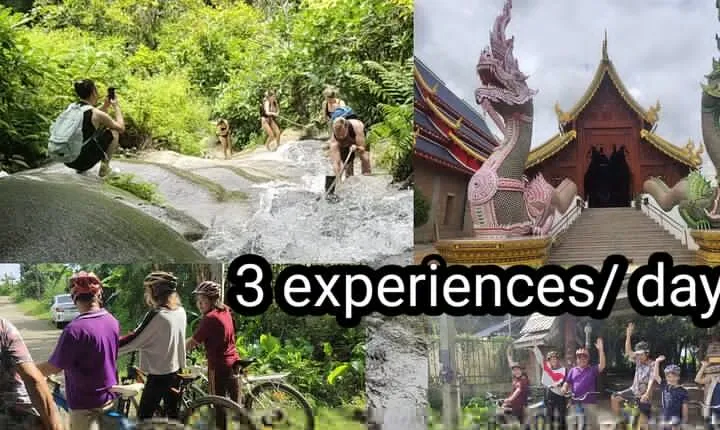 Sticky waterfalls. Local Market. Rice fields. Cycling & temples.