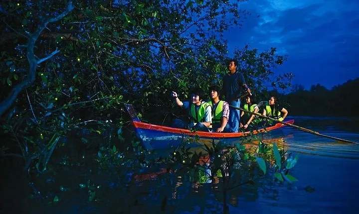 Amazing Kuala Selangor Fireflies Tour - Sic