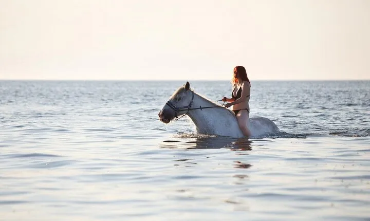 2 Hours Horse Riding At Beach & Desert in the Red Sea - Hurghada