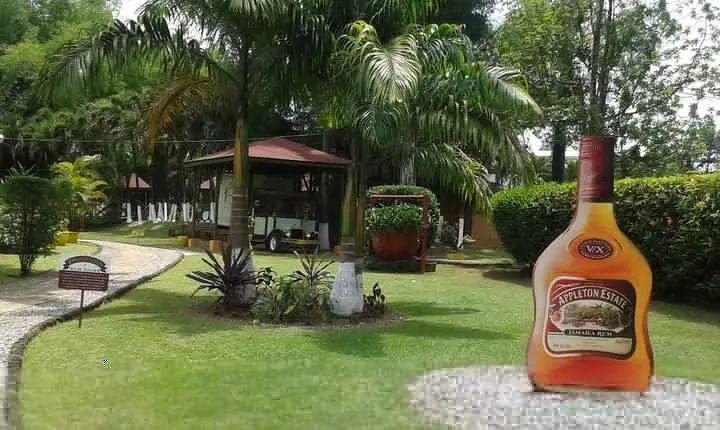 Appleton Estate Rum Tour and from Kingston