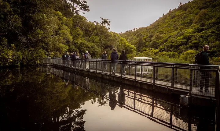 Zealandia - Twilight Guided Eco Wildlife Tour